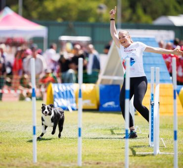 FCI Agility European Open 2025, Abrantes, Portugal (c) Jukka Pätynen Koirakuvat.fi